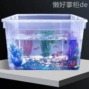 觀海水族魚缸養什么魚好養（海水魚的養護技巧） 觀海水族魚缸養什么魚好養（海水魚的養護技巧） 魚缸百科 第1張