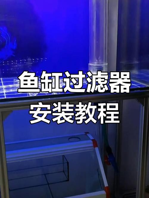 銀龍魚(yú)缸需要安裝過(guò)濾器嗎？ 銀龍魚(yú)缸需要安裝過(guò)濾器嗎？ 龍魚(yú)百科 第4張