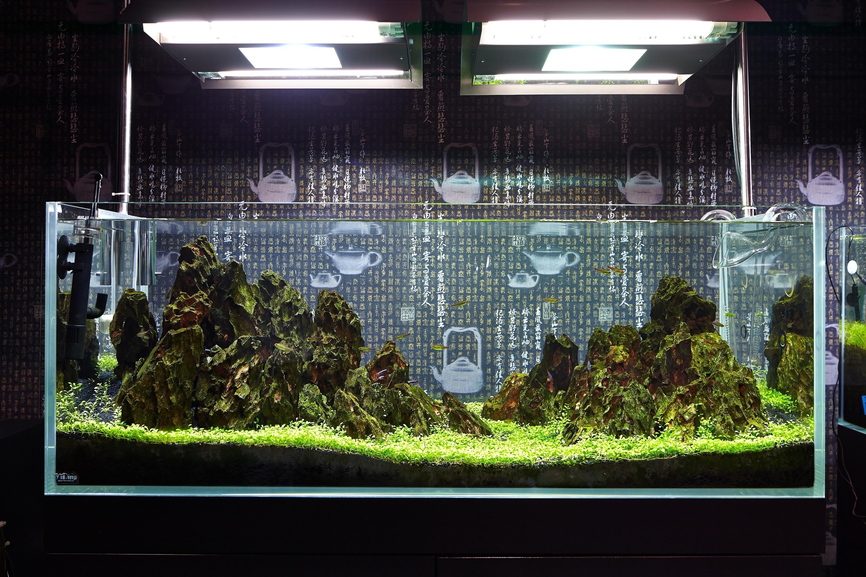 沈陽市于洪區歐陽維菊花卉水族館（沈陽市于洪區歐陽維菊花卉水族館電話）