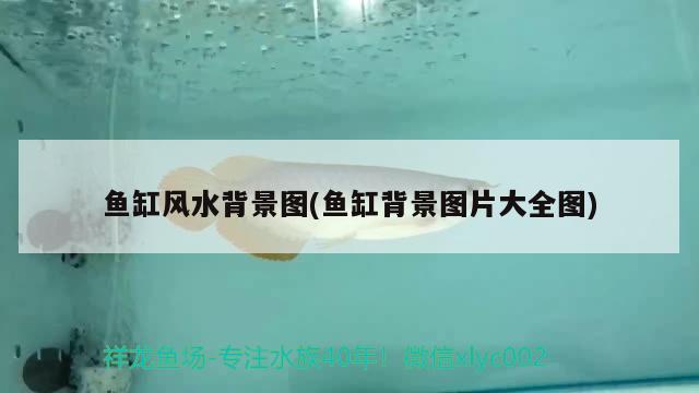 秦皇島修魚缸電話號碼（秦皇島漁具店聯系電話）