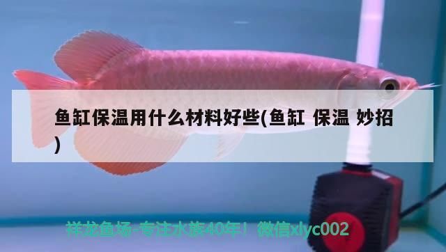 魚缸隔熱材料的成本效益分析：魚缸隔熱材料的優(yōu)勢