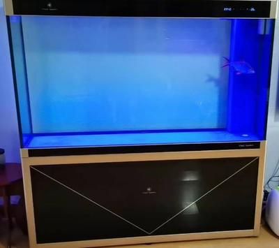 可麗愛魚缸怎么設置溫度（可麗愛魚缸怎么設置溫度是確保魚類健康生長的重要步驟）