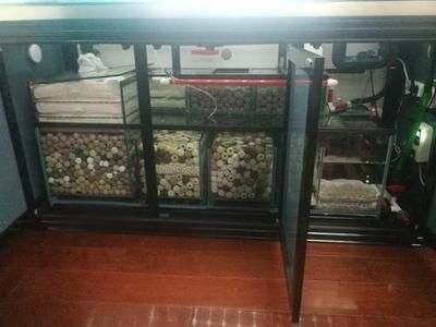 過濾材直接放魚缸里可以嗎有毒嗎（魚缸水質管理全攻略）