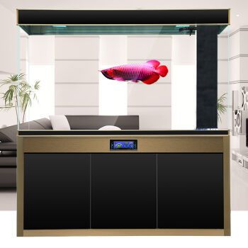 魚缸定制品牌（魚缸定制品牌,這些品牌在魚缸定制領域都有豐富的口碑）