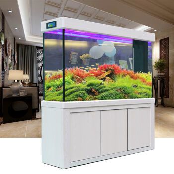 魚缸定制品牌（魚缸定制品牌,這些品牌在魚缸定制領域都有豐富的口碑）