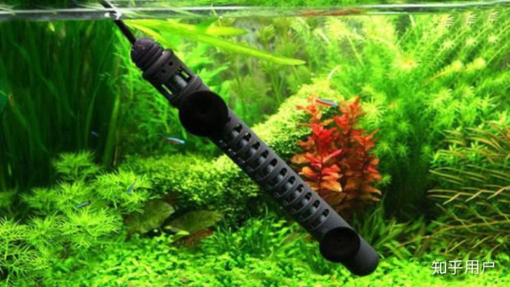 魚缸品牌推薦知乎：哪些品牌的魚缸品牌值得推薦 魚缸品牌推薦知乎：哪些品牌的魚缸品牌值得推薦 魚缸百科 第5張