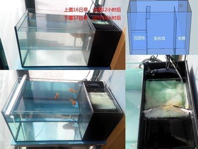 魚缸設備安裝視頻教程：匯龍魚缸安裝視頻教程