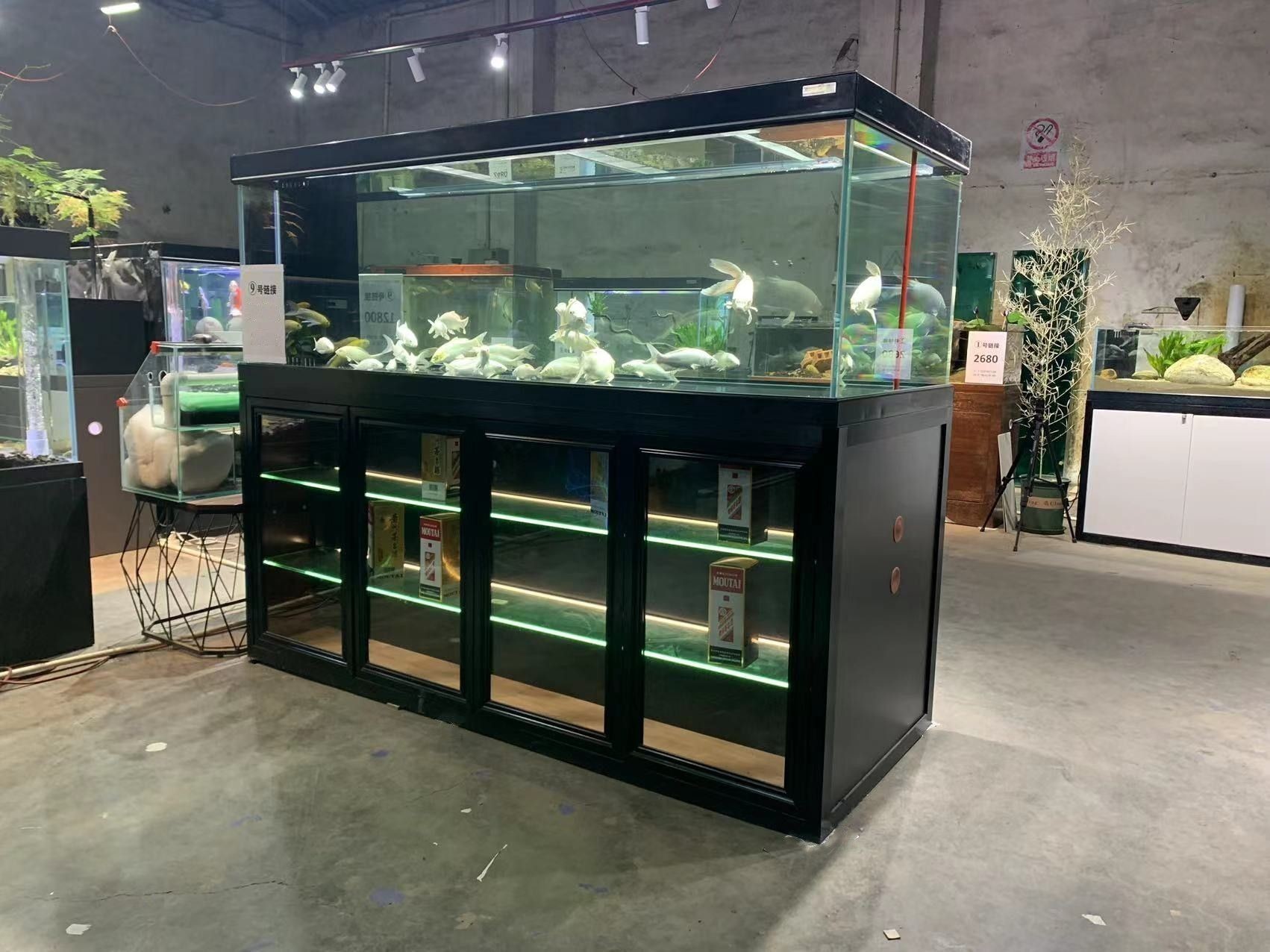 翌美魚缸是做什么的啊：翌美魚缸與其他品牌的比較，翌美魚缸的智能功能介紹 翌美魚缸是做什么的啊：翌美魚缸與其他品牌的比較，翌美魚缸的智能功能介紹 魚缸百科 第4張