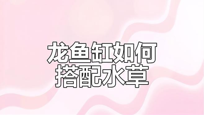 如何設置龍魚缸的水草區 如何設置龍魚缸的水草區 龍魚百科 第1張