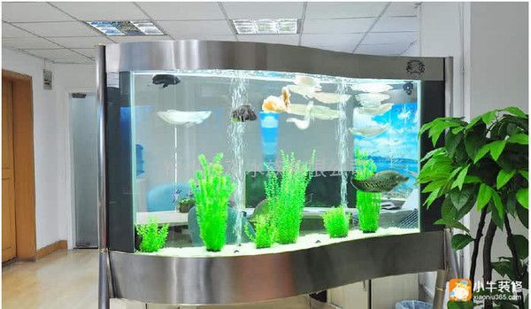 店鋪放魚缸最佳位置（店鋪放魚缸的最佳位置）