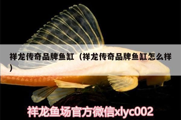 祥龍魚缸怎么樣好用嗎：祥龍魚缸用戶評(píng)價(jià)如何