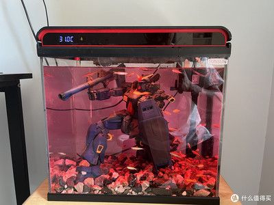 高錳酸鉀消毒魚缸的具體浸泡時(shí)間：高錳酸鉀消毒的具體浸泡時(shí)間