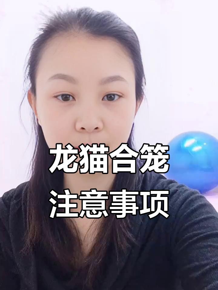 龍貓合籠后多久會適應？ 龍貓合籠后多久會適應？ 龍魚百科 第2張