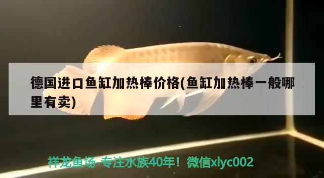 丹東市振安區(qū)銀龍養(yǎng)殖場(chǎng)