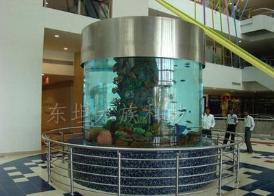 廣州知名魚缸制作廠家及其品牌都在廣州有一定的影響力和市場份額：廣州一些知名的魚缸制作廠家及其品牌 廣州知名魚缸制作廠家及其品牌都在廣州有一定的影響力和市場份額：廣州一些知名的魚缸制作廠家及其品牌 魚缸百科 第3張