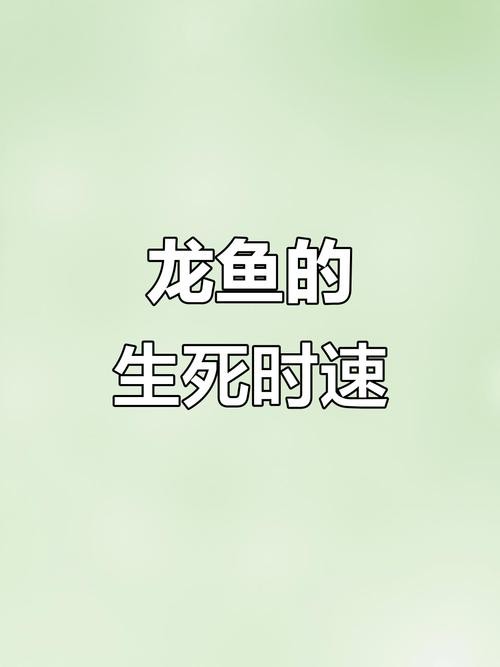 死龍魚圖片