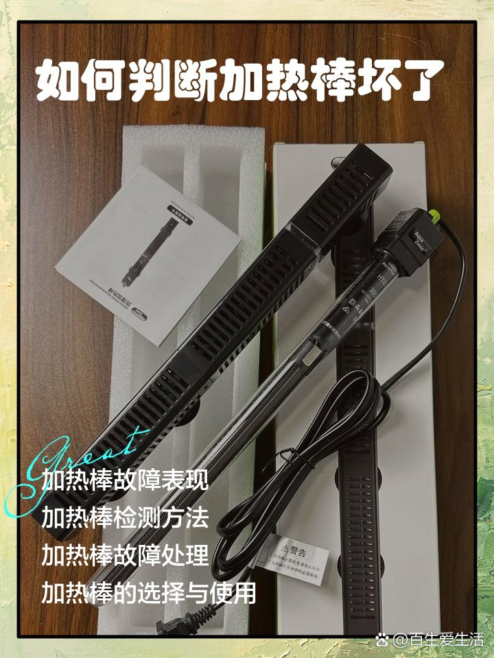 死龍魚圖片