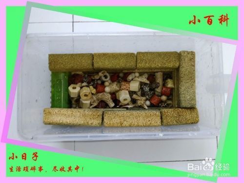 魚缸濾材怎么做的：自制魚缸過濾棉的方法 魚缸濾材怎么做的：自制魚缸過濾棉的方法 魚缸百科 第5張