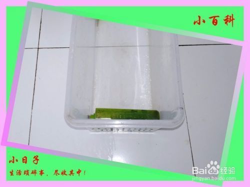 魚缸濾材怎么做的：自制魚缸過濾棉的方法 魚缸濾材怎么做的：自制魚缸過濾棉的方法 魚缸百科 第4張