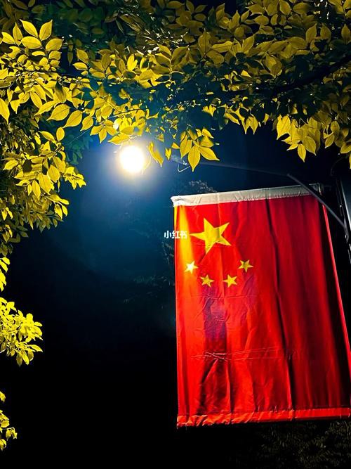 紅龍之眼壁紙有哪些風格可選？ 紅龍之眼壁紙有哪些風格可選？ 龍魚百科 第13張