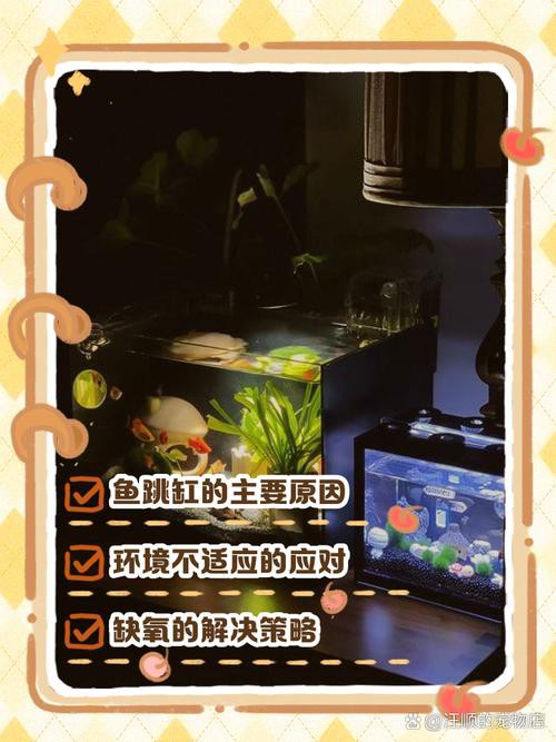 為什么龍魚會跳缸呢圖片