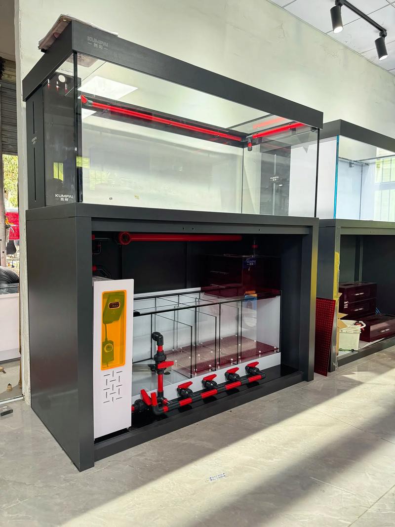 為什么龍魚會跳缸呢圖片