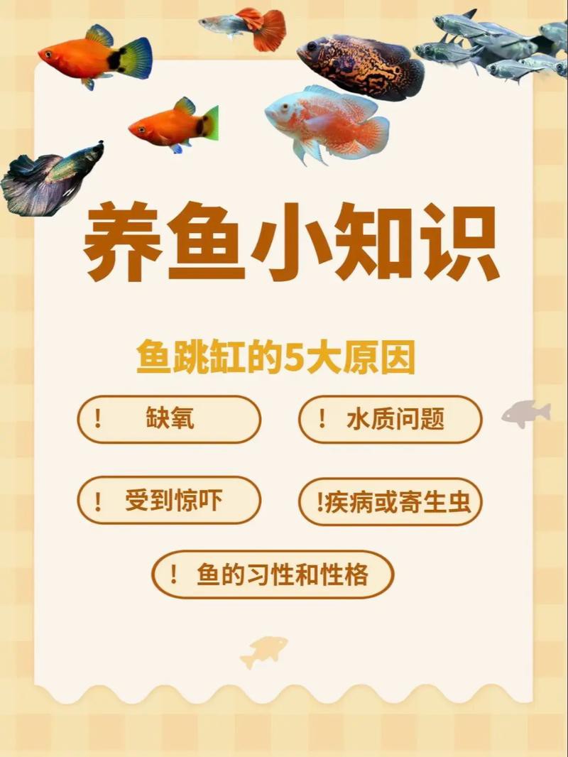為什么龍魚會跳缸呢圖片