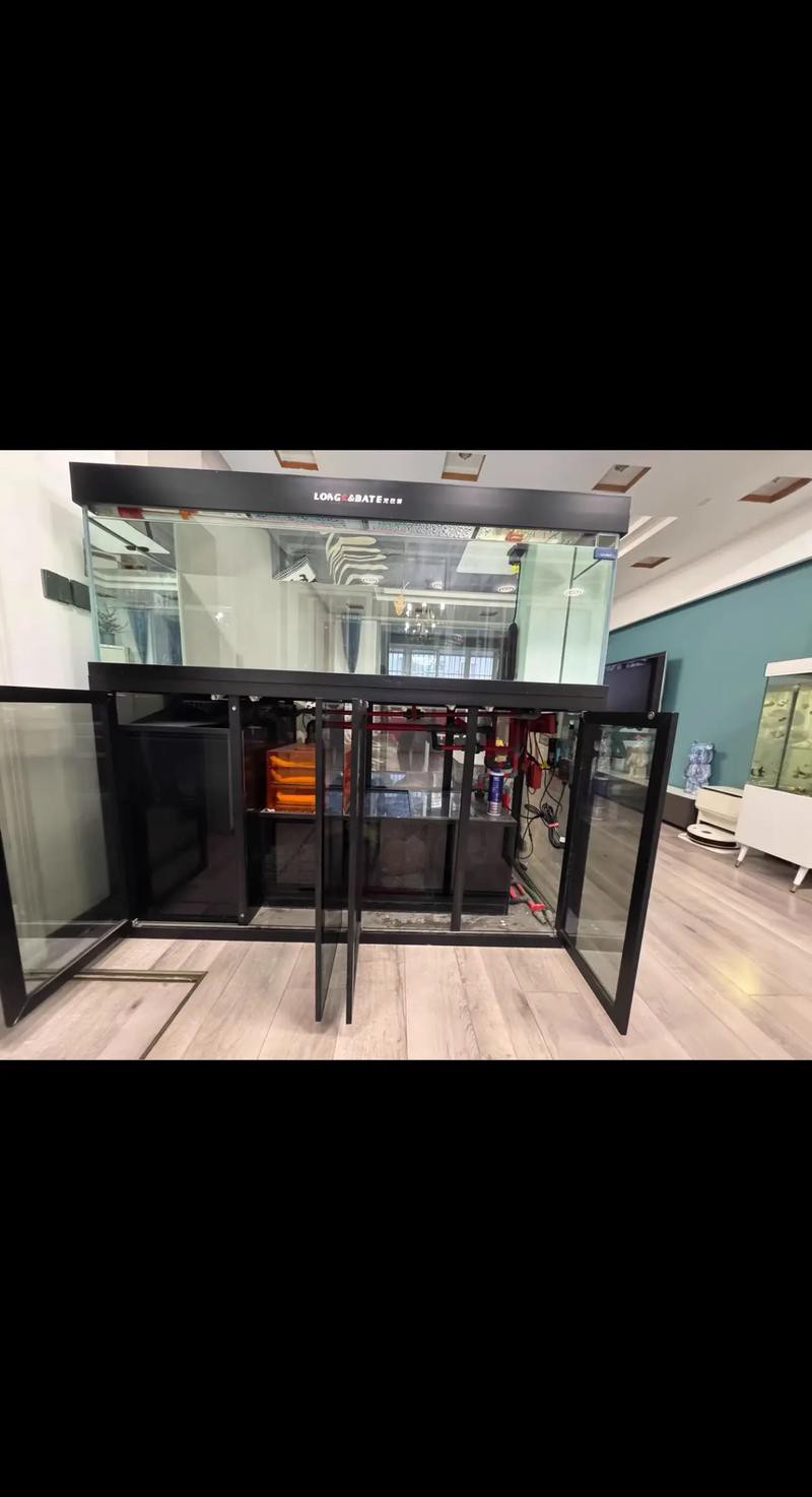 為什么龍魚會跳缸呢圖片