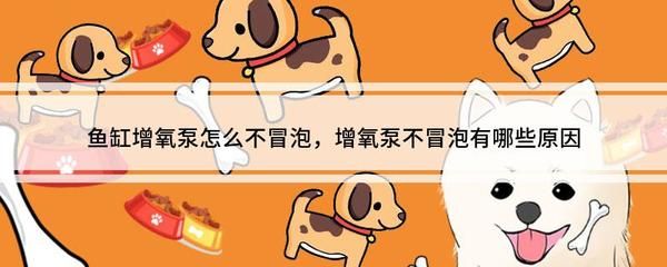 魚缸增氧泵怎么不冒泡（魚缸增氧泵怎么不冒泡增氧泵可能因電機損壞而無法正常工作）