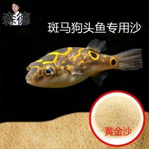 狗頭魚缸造景指南：狗頭魚缸造景指南，希望對你有所幫助：搜索結(jié)果整理的狗頭魚缸造景指南