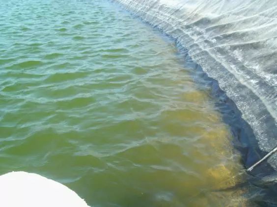 歐寶魚缸屬于什么檔次的品牌：歐寶魚缸屬于什么檔次的品牌探究其品牌定位、市場表現及用戶口碑