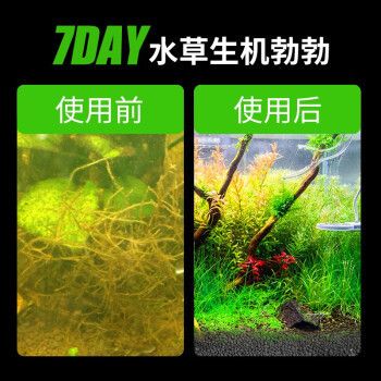 瘋狂水草（FKSC）魚缸（瘋狂水草（fksc）魚缸）