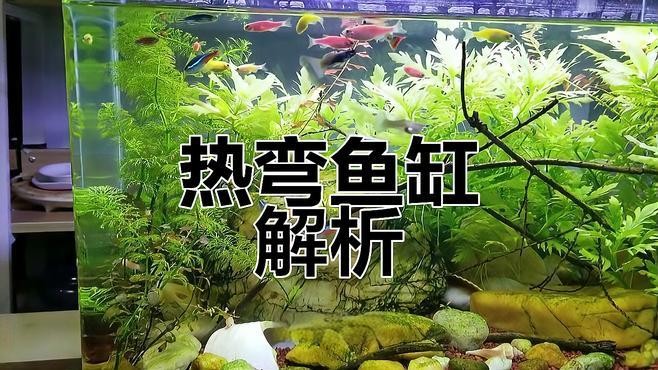 龍魚缸材質哪種最好？