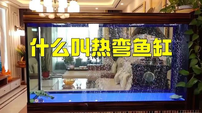 龍魚缸材質哪種最好？