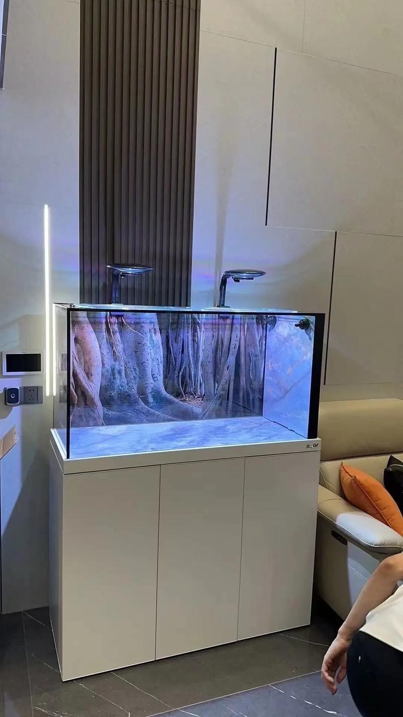 龍魚缸材質哪種最好？