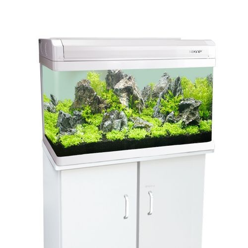 龍魚缸材質哪種最好？