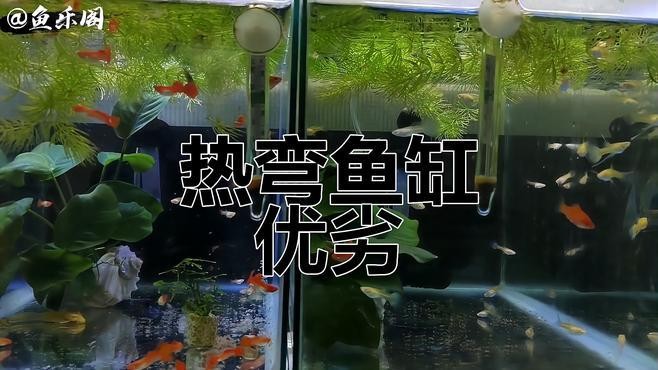 龍魚缸材質哪種最好？