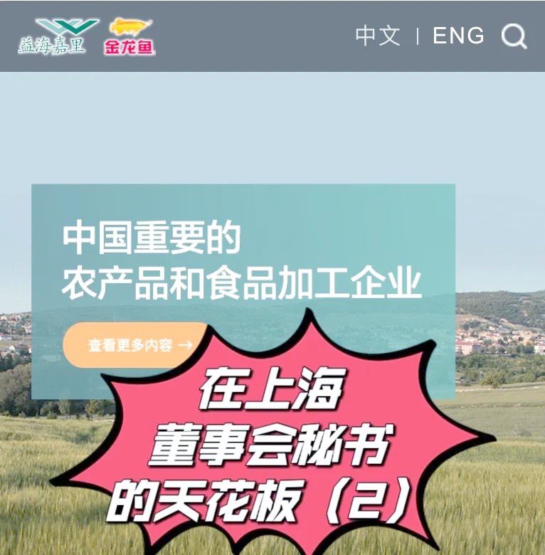 金龍魚還有哪些外籍高管？
