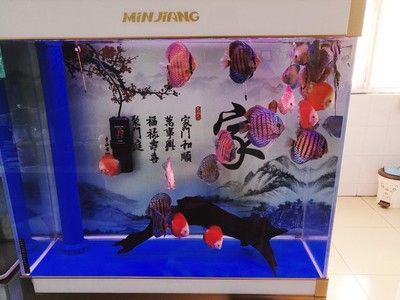 魚缸造景教程：風景魚缸制作視頻教程，風景魚缸制作視頻教程：風景魚缸制作教程 魚缸造景教程：風景魚缸制作視頻教程，風景魚缸制作視頻教程：風景魚缸制作教程 魚缸百科