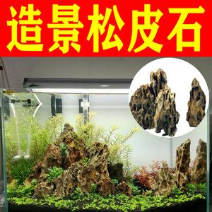 魚缸造景技巧與疾病預防養(yǎng)護技巧和疾病預防知識：如何選擇適合自己的魚缸 魚缸造景技巧與疾病預防養(yǎng)護技巧和疾病預防知識：如何選擇適合自己的魚缸 魚缸百科 第3張