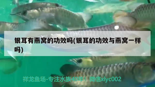 朝陽市雙塔區玫瑰緣鮮花水族店 朝陽市雙塔區玫瑰緣鮮花水族店 全國水族館企業名錄 第1張