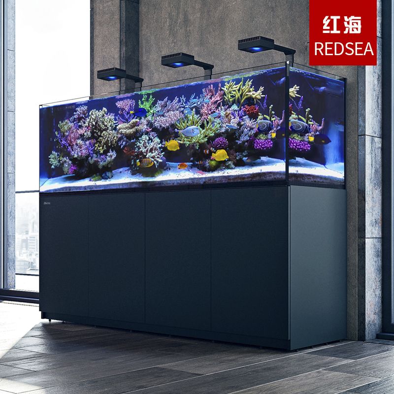 海水生態魚缸的使用年限和養護技巧：海水生態魚缸使用年限 海水生態魚缸的使用年限和養護技巧：海水生態魚缸使用年限 魚缸百科 第1張