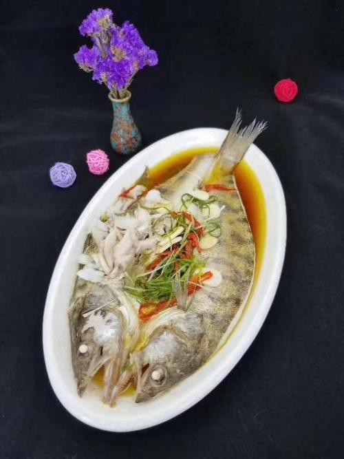 天山龍魚圖片高清大圖欣賞