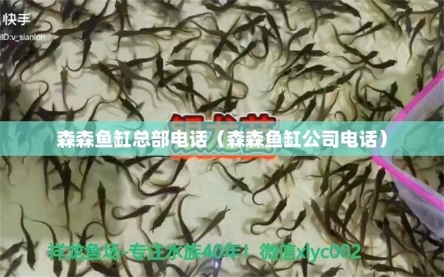 森森魚缸服務(wù)電話：森森魚缸加盟條件查詢森森魚缸在線客服入口