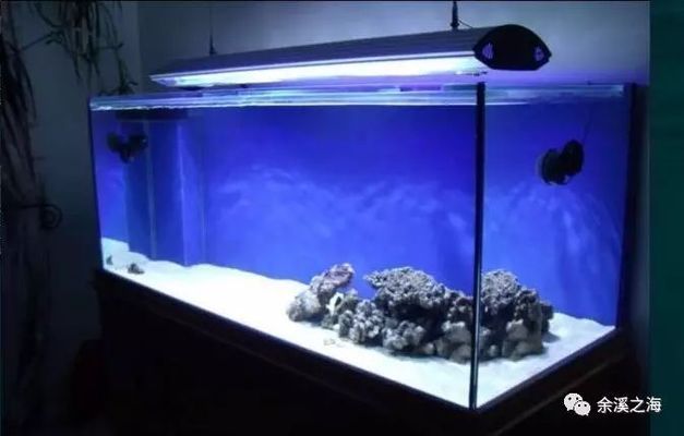 魚缸選型，魚缸過濾系統的選購指南 魚缸選型，魚缸過濾系統的選購指南 魚缸百科 第1張