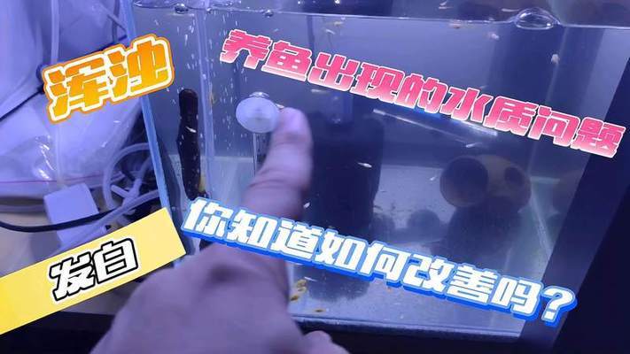 大城縣海龍水族器材廠（大城縣海龍水族器材廠電話）