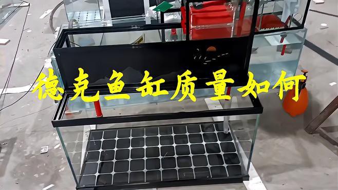 德克龍魚缸 德克龍魚缸 龍魚百科 第10張