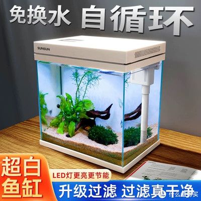 水族魚缸排名：常見的水族魚缸排名 水族魚缸排名：常見的水族魚缸排名 魚缸百科 第5張