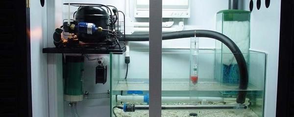 底濾魚缸溢水怎么辦：底濾魚缸關閉水泵關閉水泵后的水從過濾槽溢出的原因