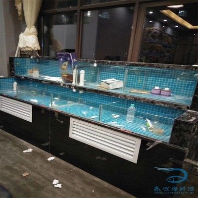 廣州魚缸定制價格對比廣州專業定做魚缸價格對比：廣州專業定做魚缸價格 廣州魚缸定制價格對比廣州專業定做魚缸價格對比：廣州專業定做魚缸價格 魚缸百科 第1張